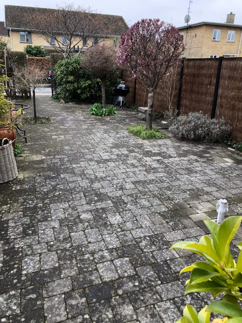 Before image alt