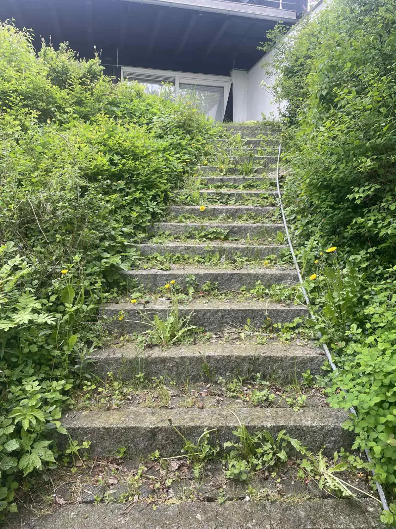Before image alt